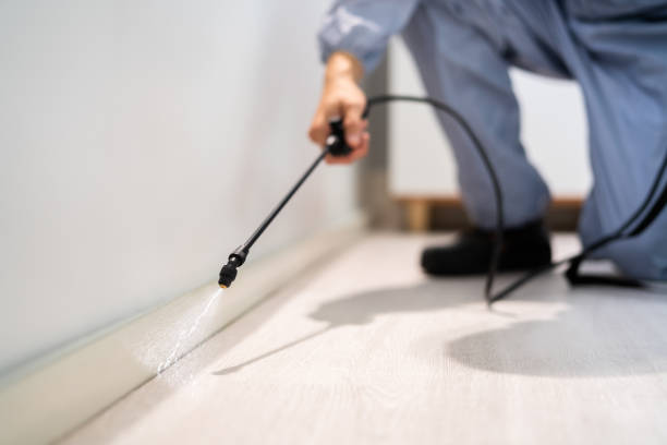 Licensed Rodent Control service in Ralls County County, MO - Nex Pest Control